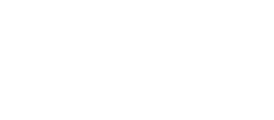 THE BLUSH STORE LOGO FINAL FILES-0.1-fotor-2024122016290 (1)